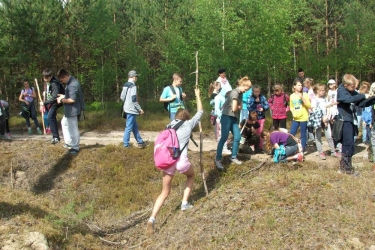08.jpg