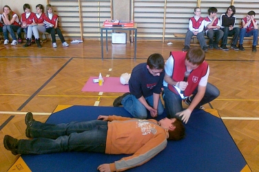 20110304028.jpg