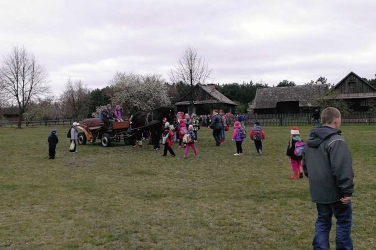 WP_20140410_033.jpg