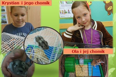 07.jpg
