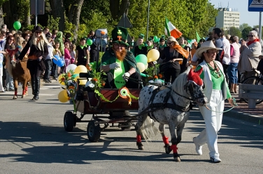 DSC_1217.jpg