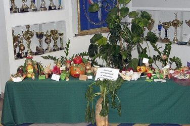 PA239266.jpg