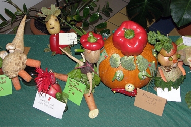 PA239268.jpg