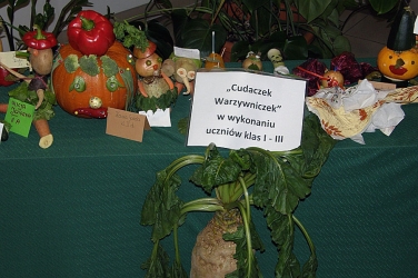 PA239269.jpg