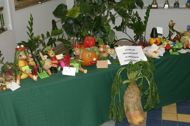 PA239271.jpg