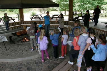 P6129167.jpg